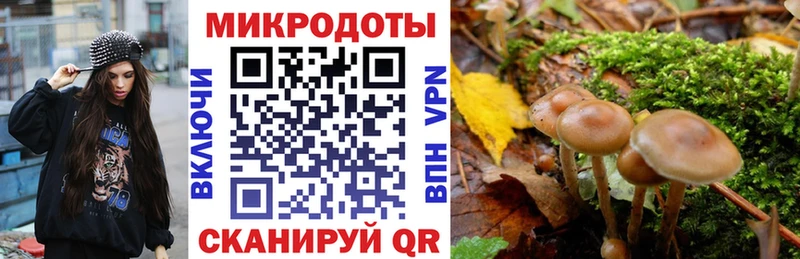 Галлюциногенные грибы ЛСД omg зеркало Усть-Катав