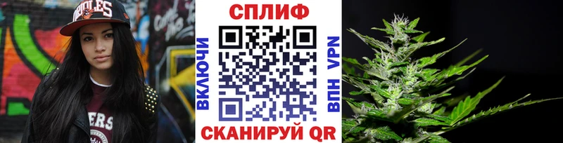 мориарти состав  Усть-Катав  Бошки Шишки White Widow 